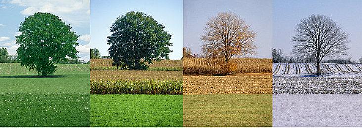 DC超英新片预告混剪  “这个世界需要英雄”